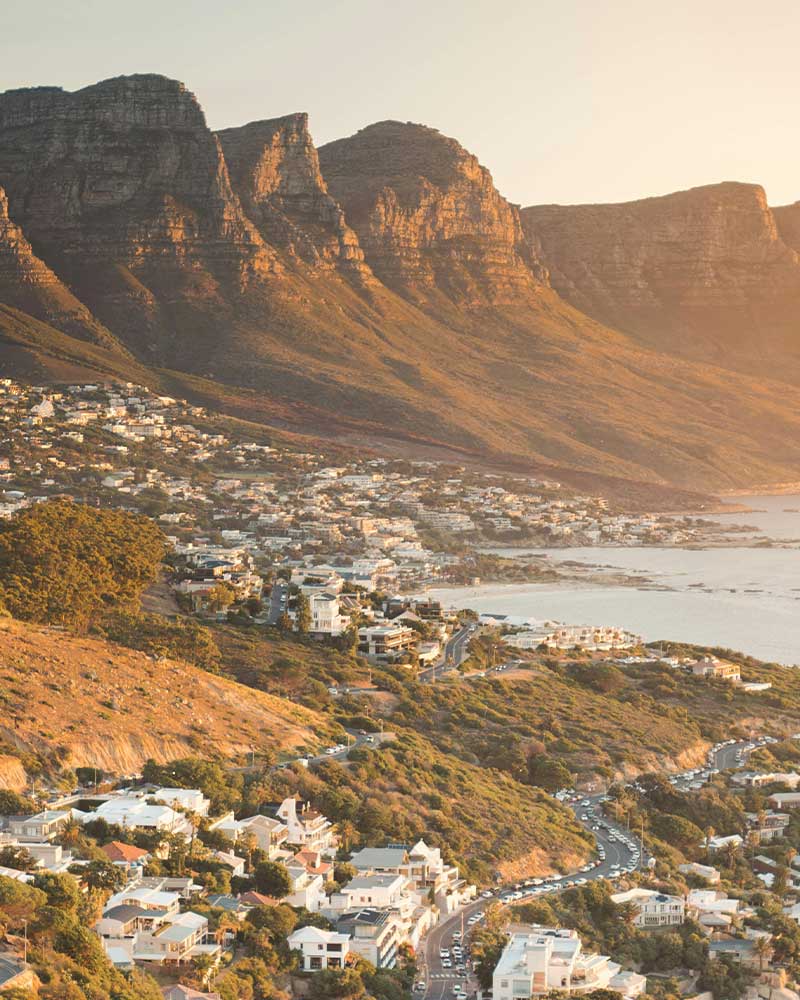 A private guide sharing the Cape with guests in Cape Town